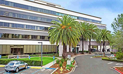 Marin office